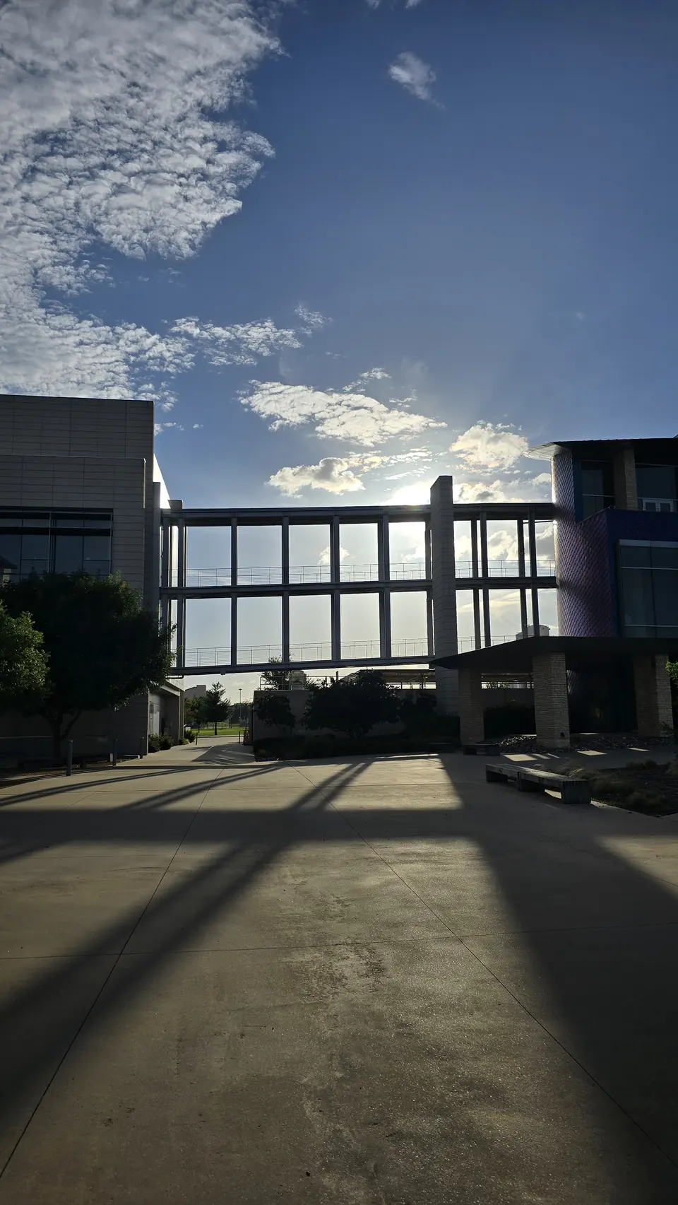 A campus walkway and building