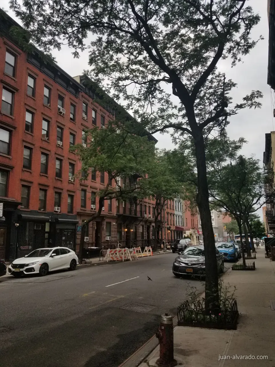 A tree-lined street of brick buildings