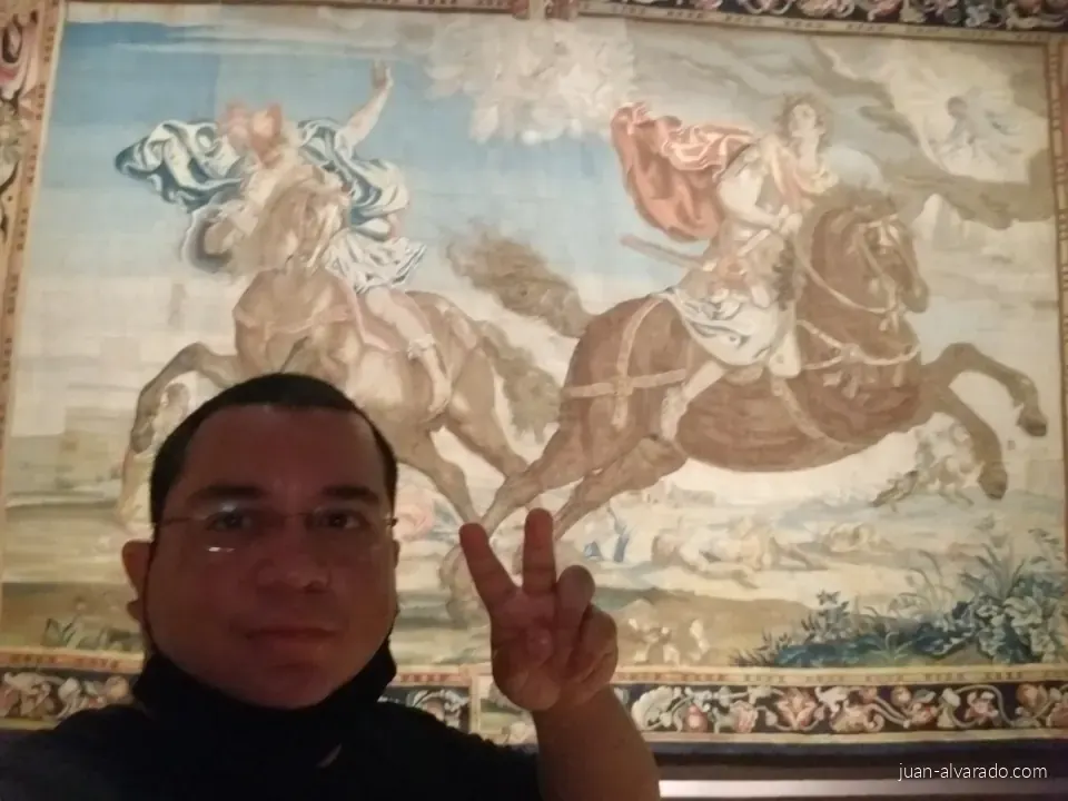 Selfie with a tapestry at the Met