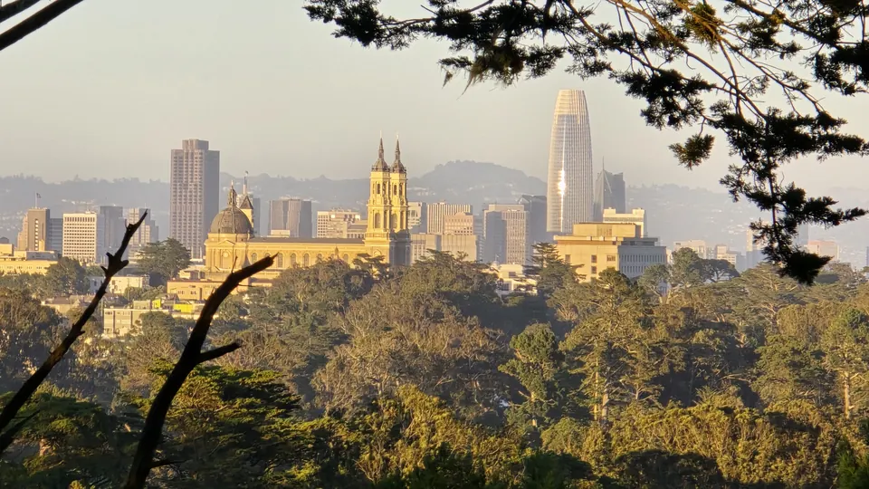 The skyline and Salesforce Tower through the trees