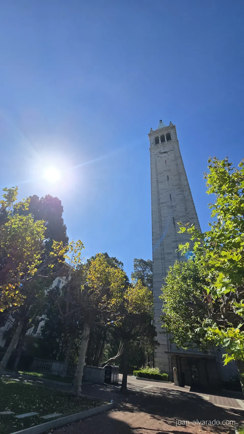 Sather Tower seen through the trees