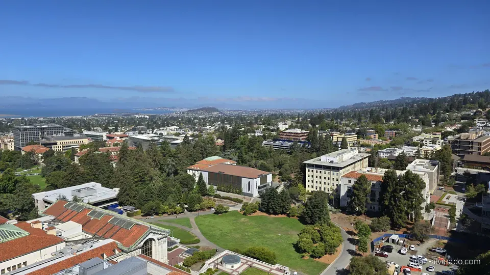 Campus buildings and greenery from above