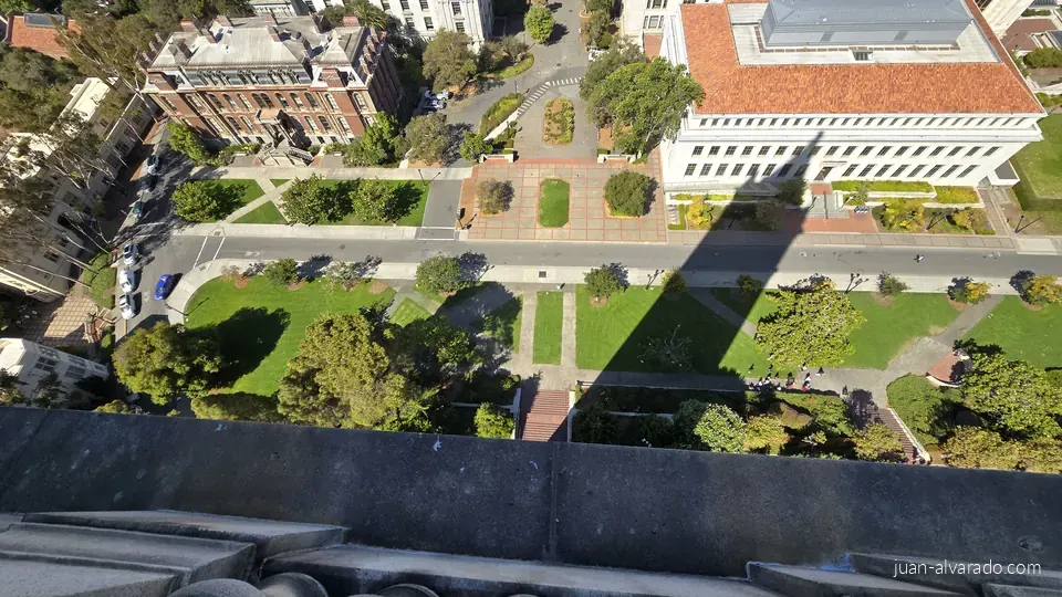 Campus lawns and buildings from the tower
