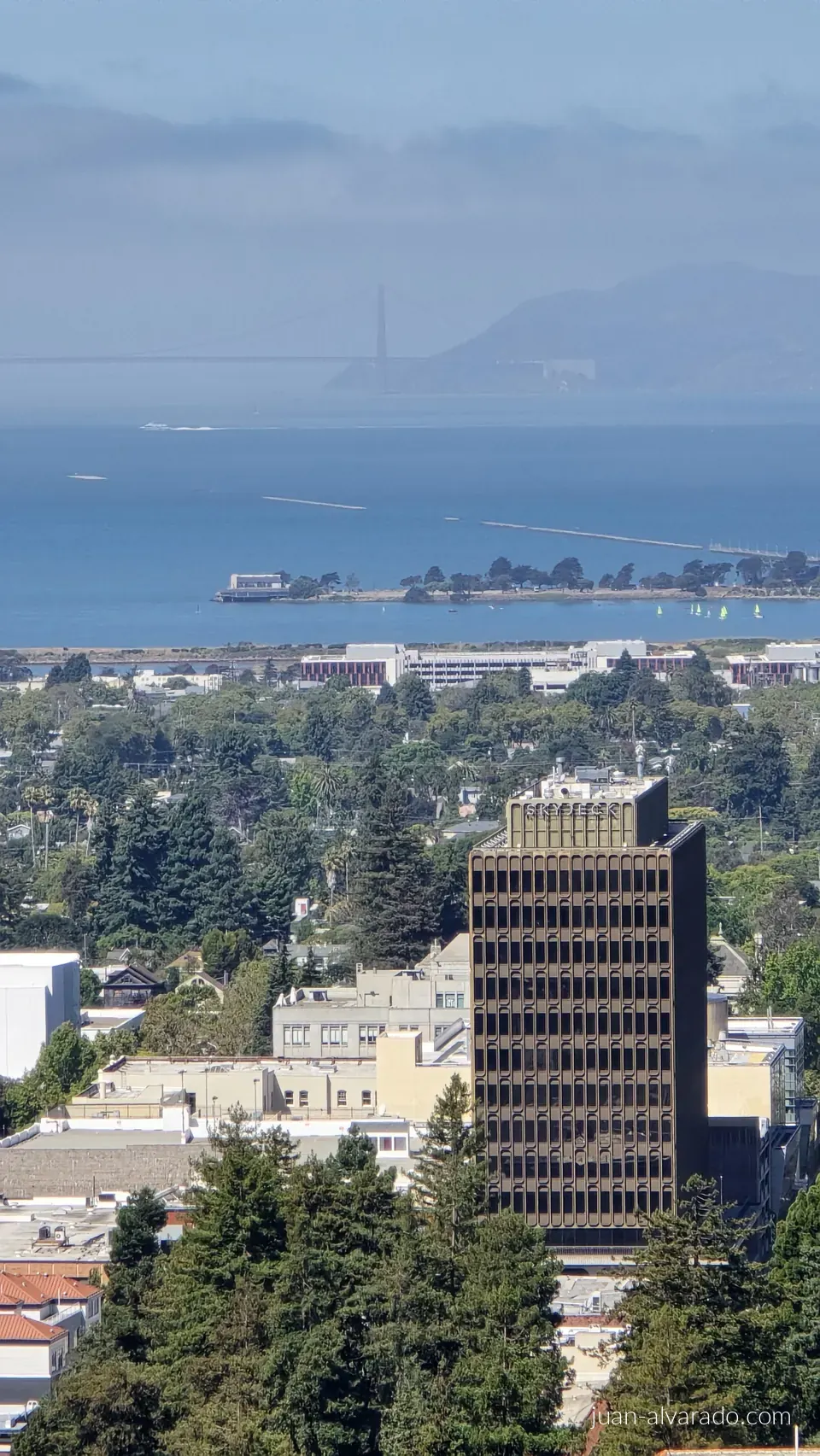 View toward the bay from the tower