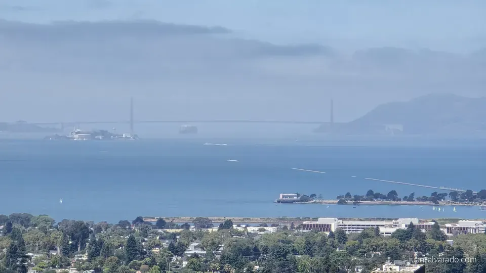 The bay seen from the tower
