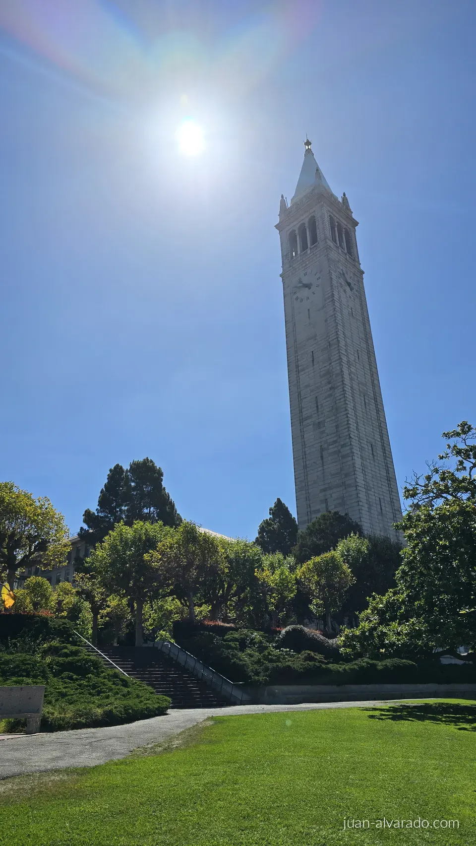 Sather Tower above a sunny lawn