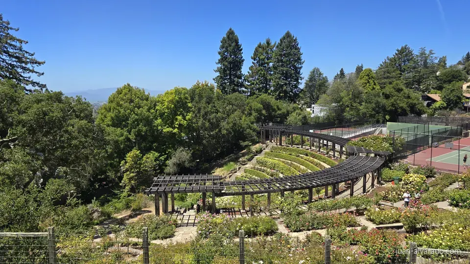 Terraced gardens in the Berkeley hills