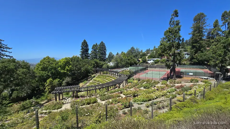Another view of the terraced gardens